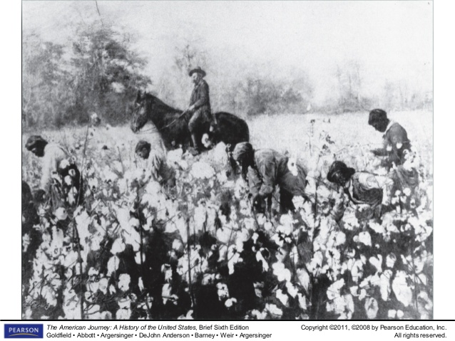 slavery-slideshow-chapter-11-20-638